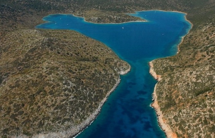 planitis-bay
